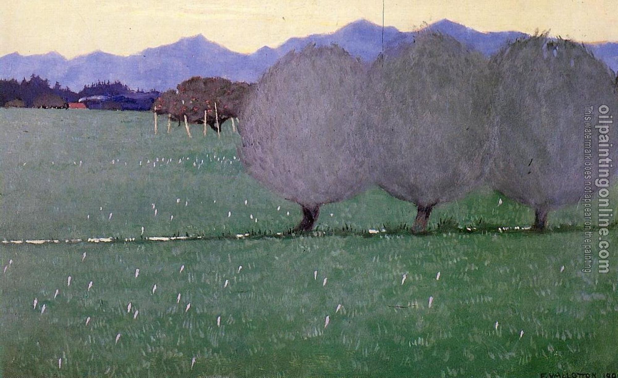 Felix Vallotton - Autumn Crocuses